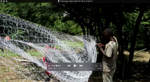 Über WhatsApp gesendetes Video unseres Forschungspartners Wilson in Baringo, Kenia.